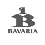 ingenieriamultiservicios11